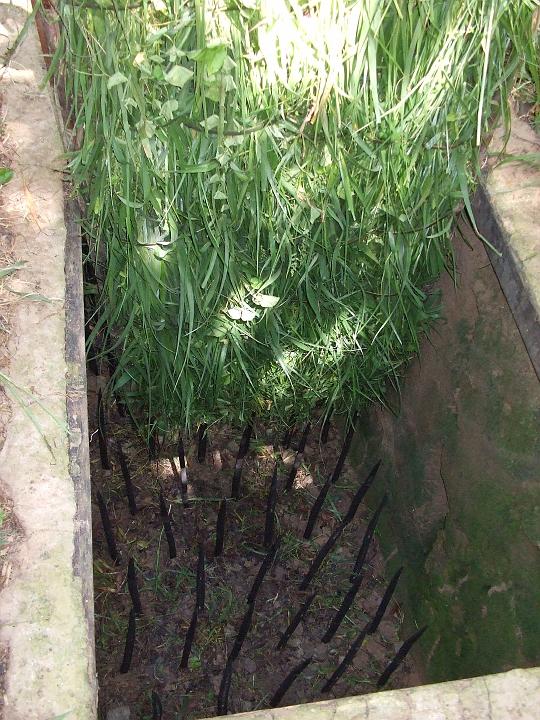 Cu Chi Tunnel (4)